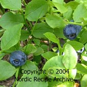 Bilberries Bilberries