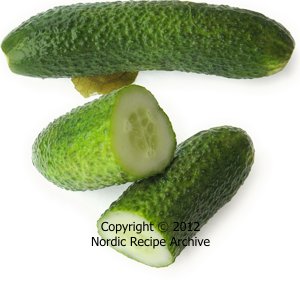 Russian slightly salted gherkins