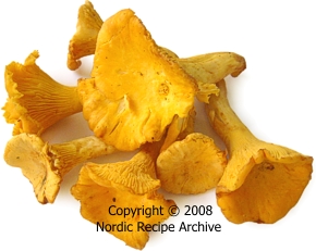 Large chanterelles