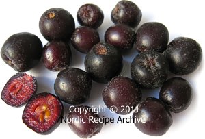 Chokeberries