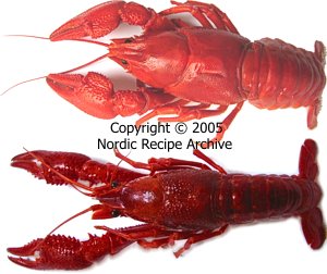 Cooked Finnish noble crayfish and American red swamp crayfish