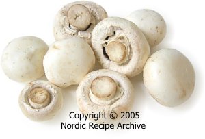 Cultivated button mushrooms