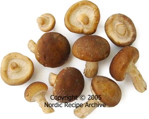 Cultivated Shiitake mushrooms