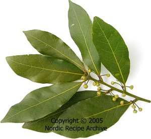 Fresh bay leaves