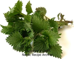 Nettle shoots