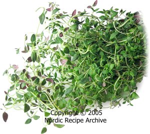 Thyme