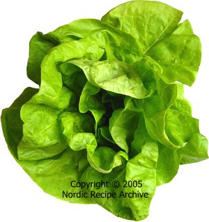 Butterhead lettuce