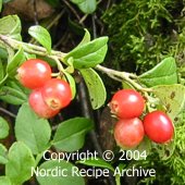 Lingonberries Lingonberries