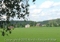 Finnish countryside