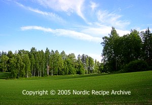Finnish countryside