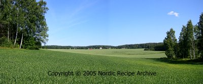 Finnish countryside