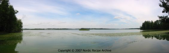 Finnish lakeside view