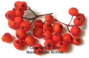 Rowanberries