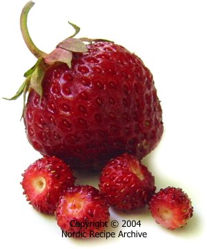 Cultivated strawberry and wild strawberries