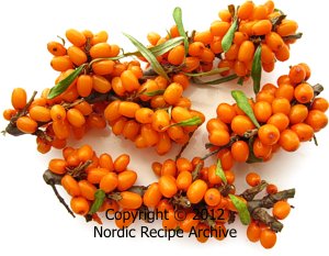 Sea-buckthorn berries